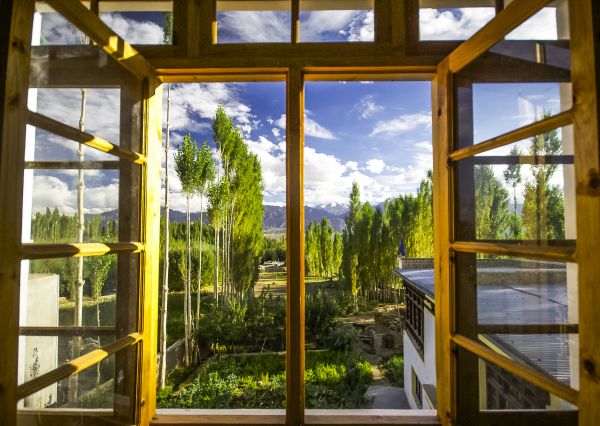 Wood Window Replacement in Cocoa