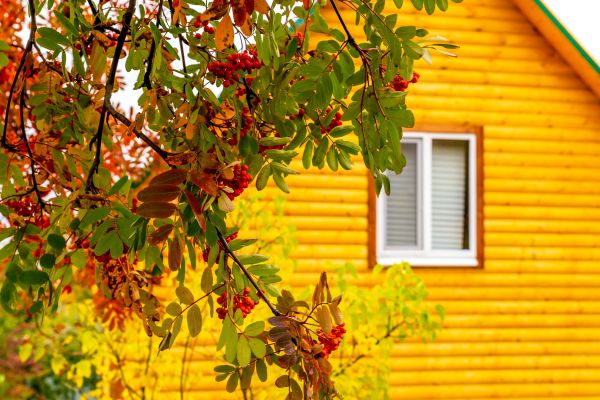 Garden Window Replacement in Cocoa